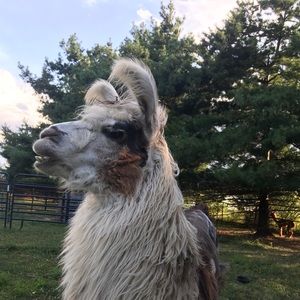 Meet your Posher, Doug